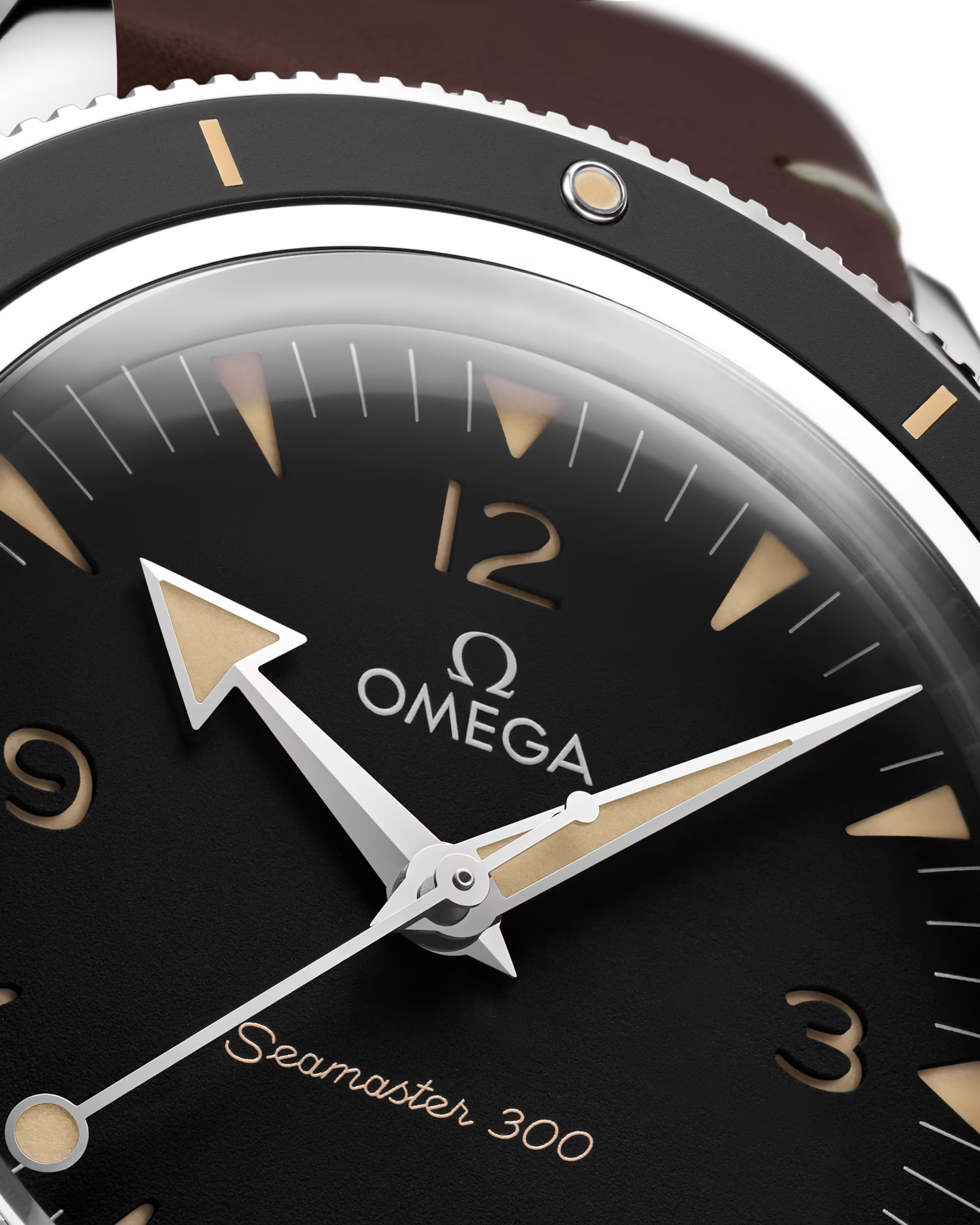 Seamaster 300