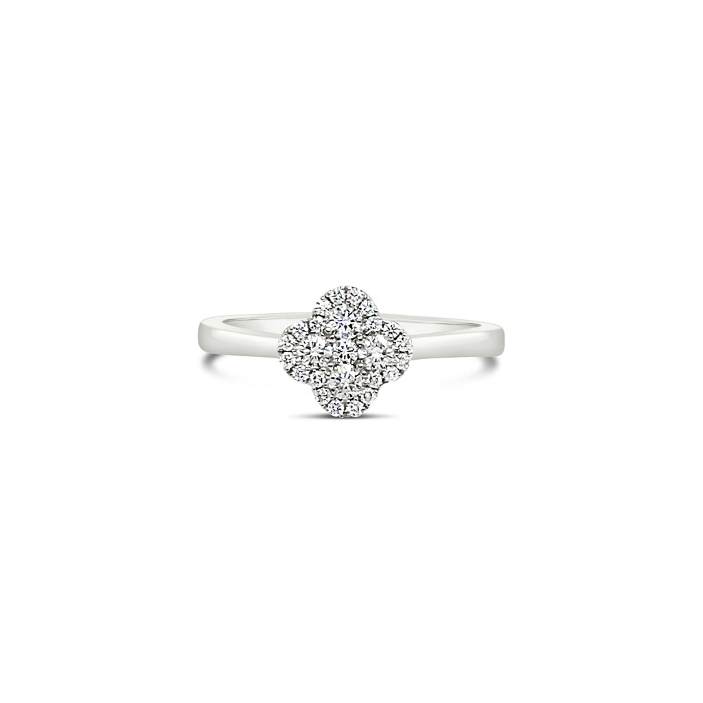 Anillo trébol de oro blanco.