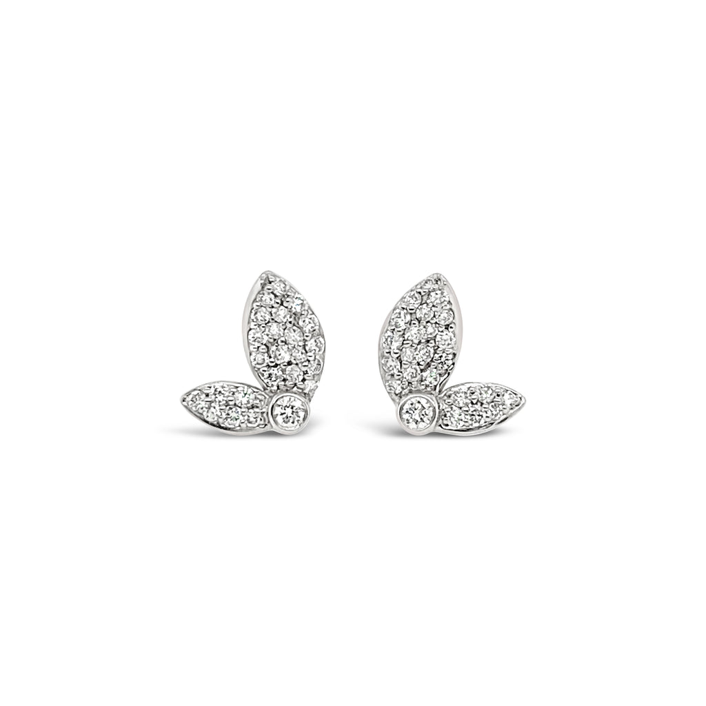 Aros alas de mariposas.